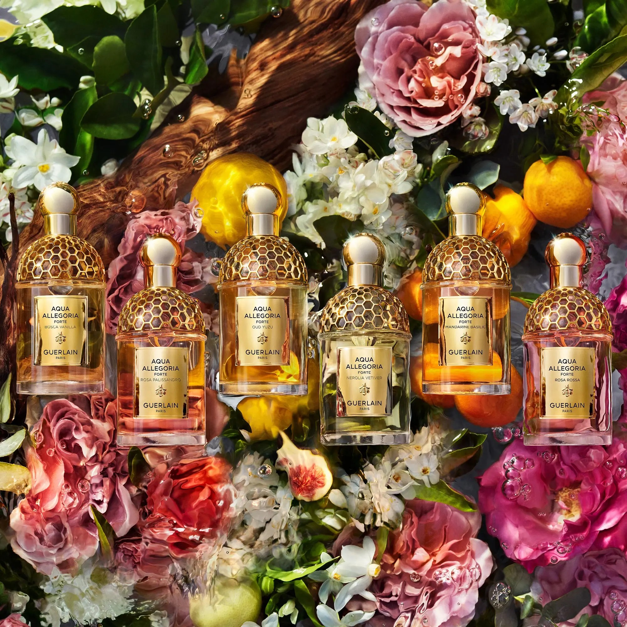 AQUA ALLEGORIA FORTE